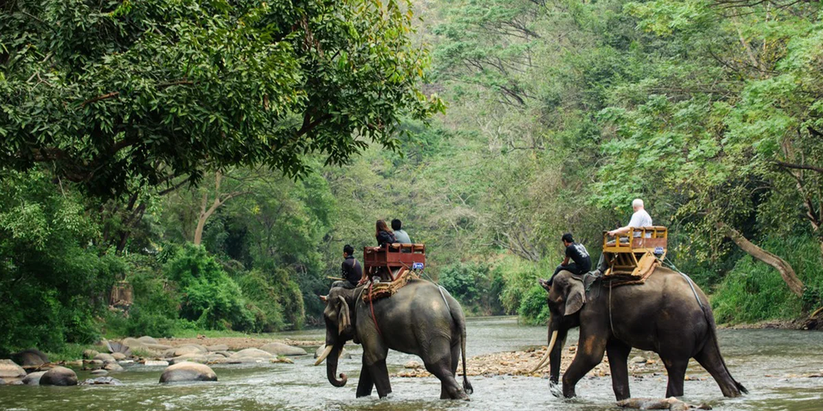 places to visit in Cameroon