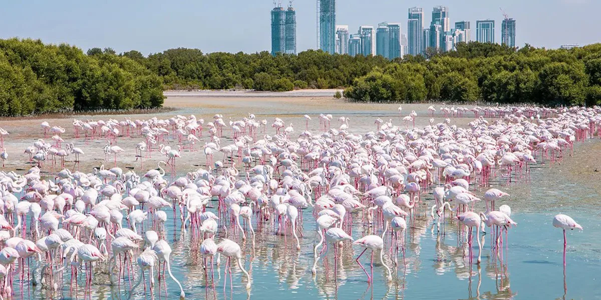 Cities in Qatar 