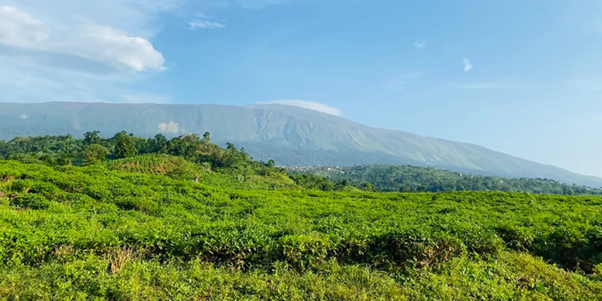 places to visit in Cameroon