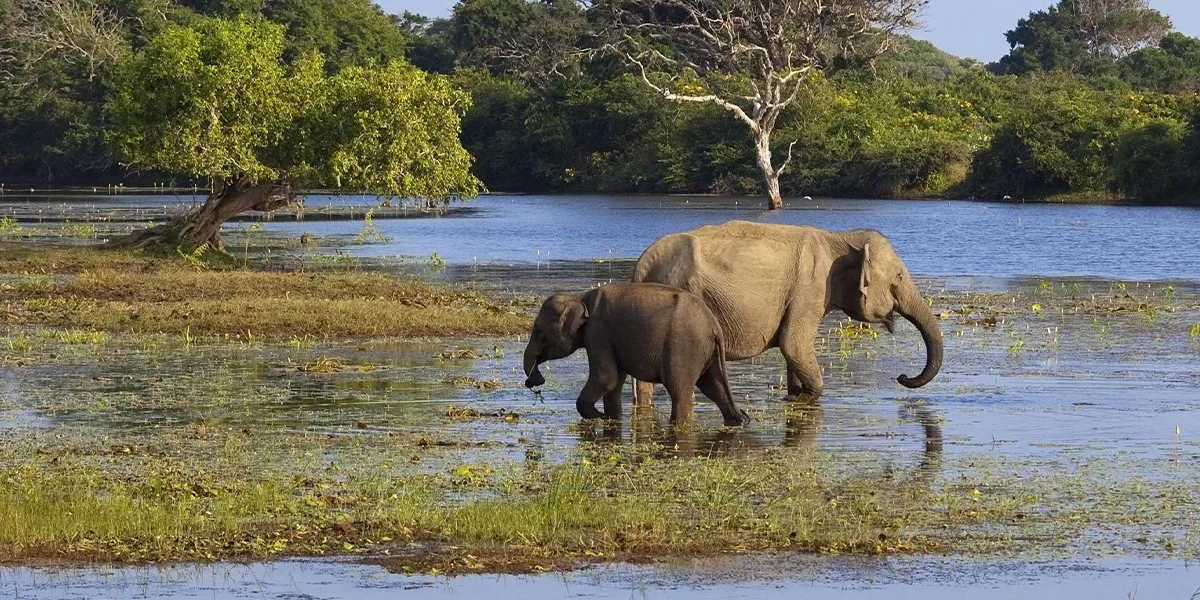 Tourist Attractions in Sri Lanka 