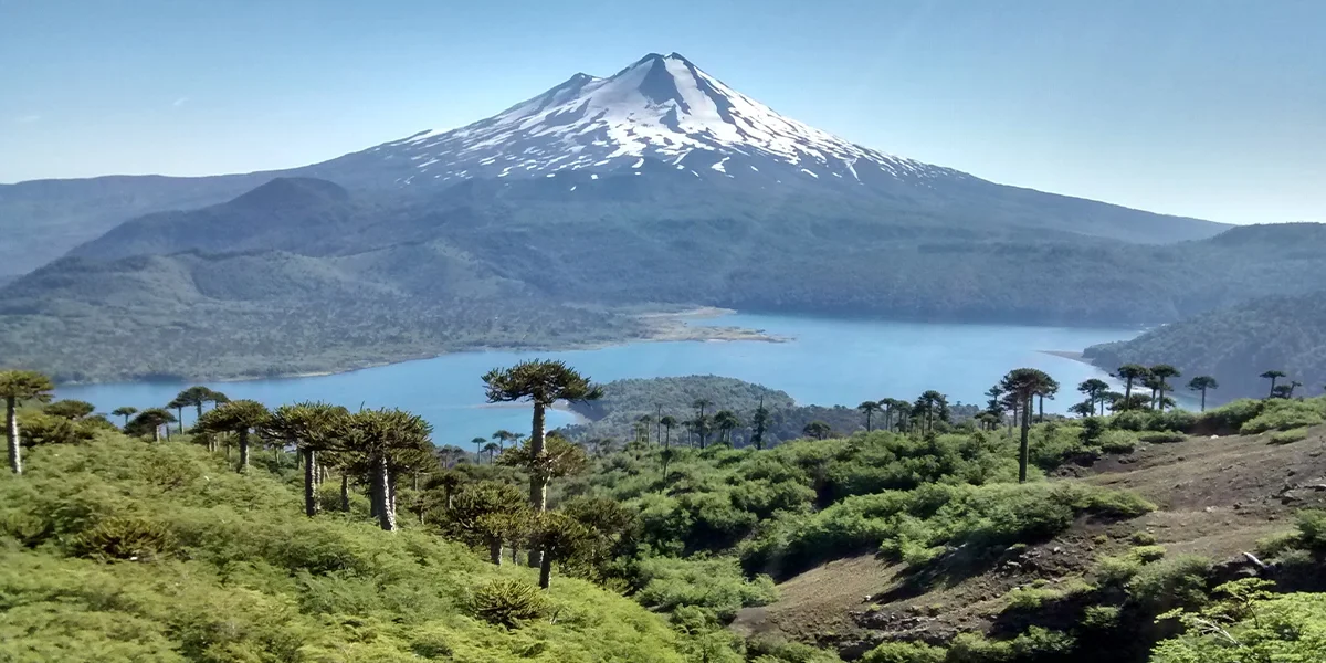 Lake District Volcanoes, Lakes and Forests