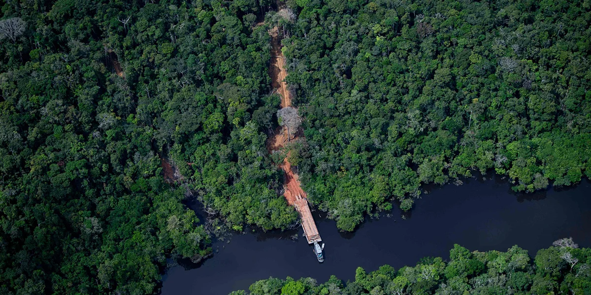 Manaus and the Amazon Rainforest