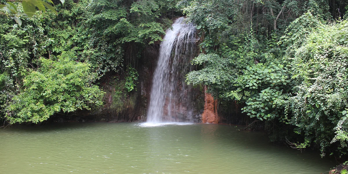 Tasek Lama Recreational Park – Urban Jungle Retreat