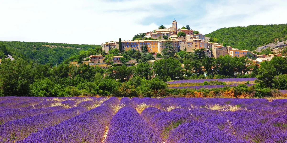 Provence Lavender Fields and Lovely Towns