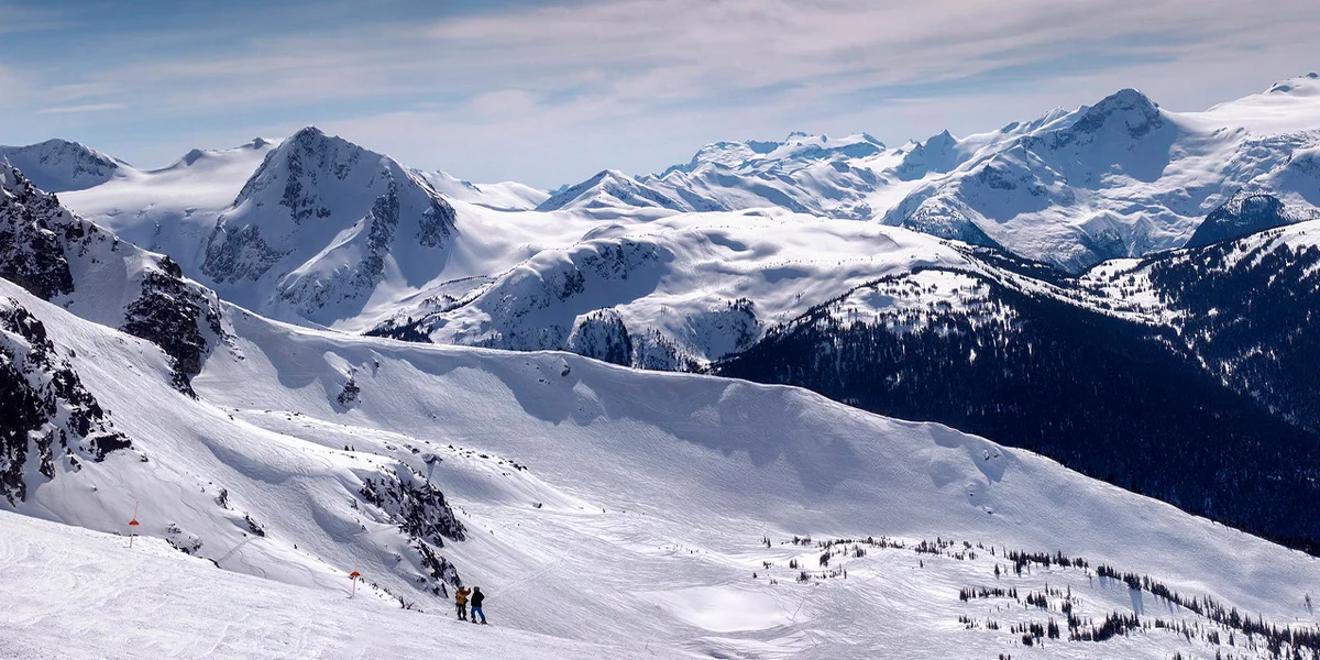  whistler