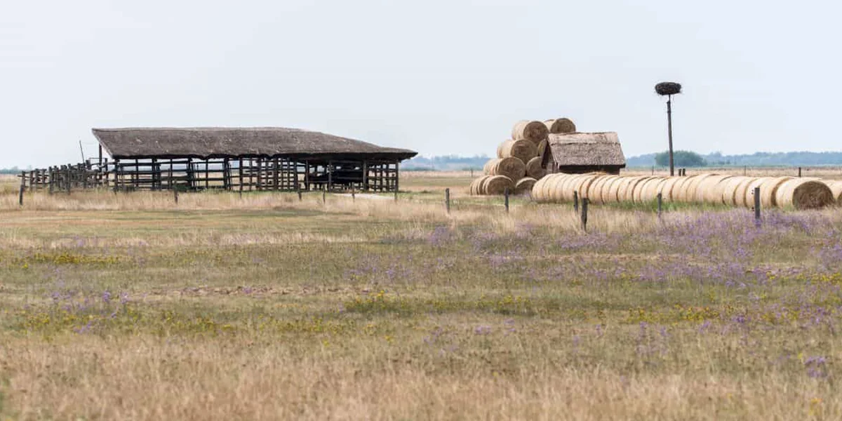 Hortobagy National Park - A glimpse of rural heritage