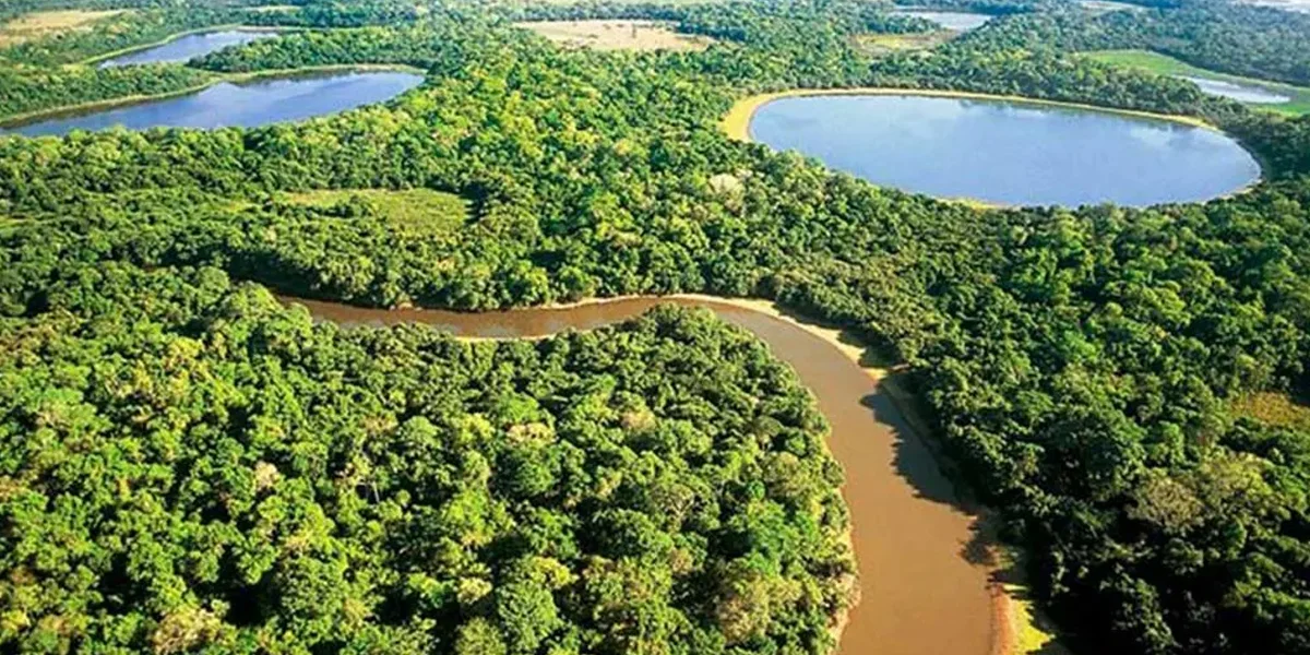 9. Campo Grande to Bonito and Pantanal