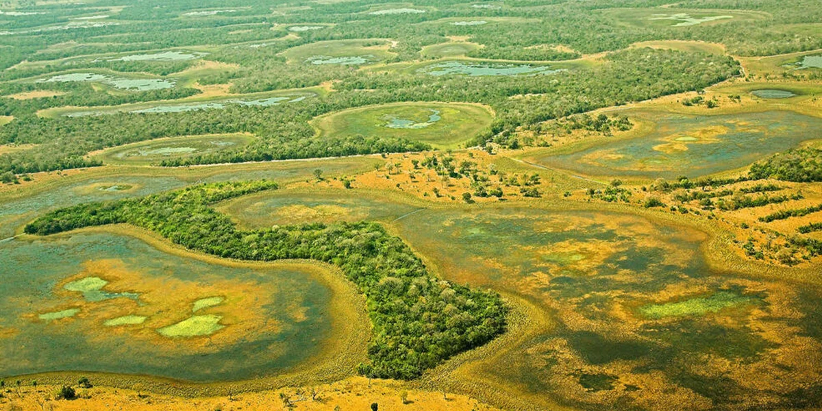 Pantanal