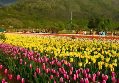 Best Time to Visit India