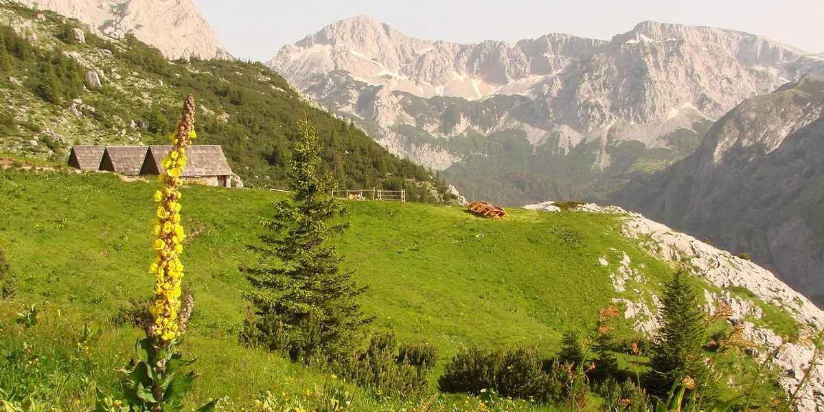 Foča - the Entrance to the Unspoiled Nature