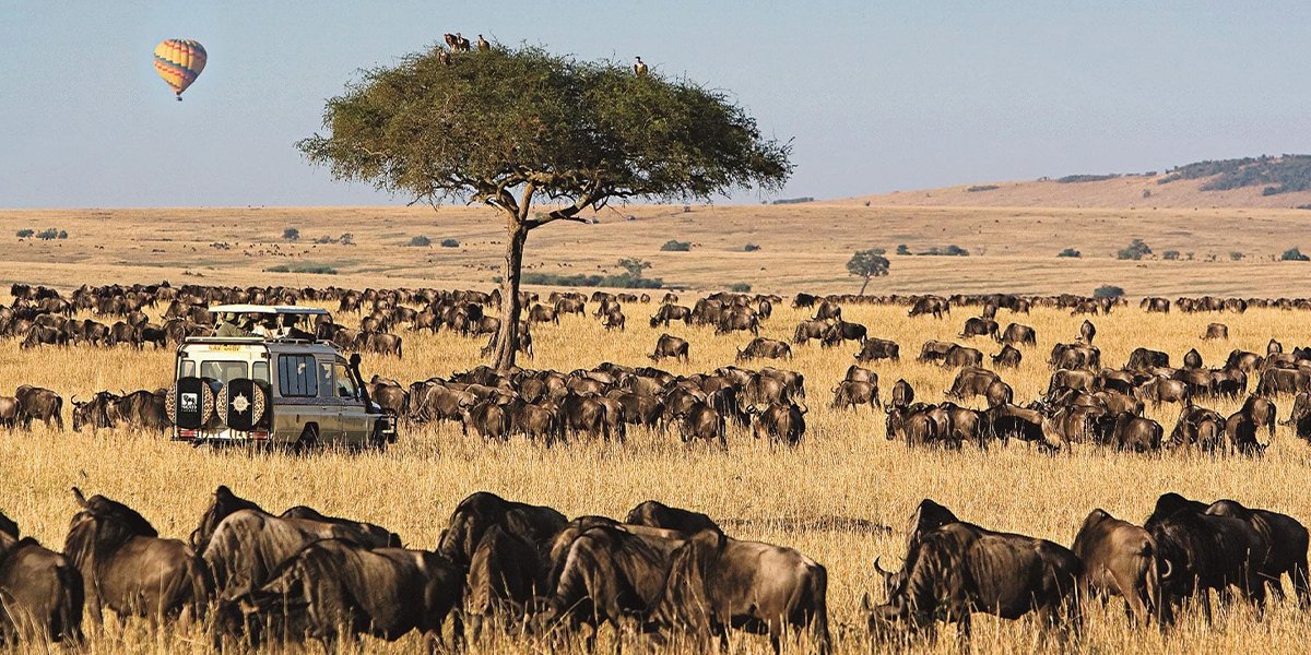 Places to Visit in Kenya 