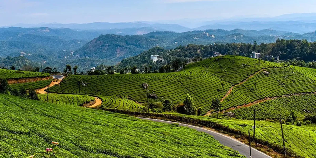 Places to Visit in Kerala