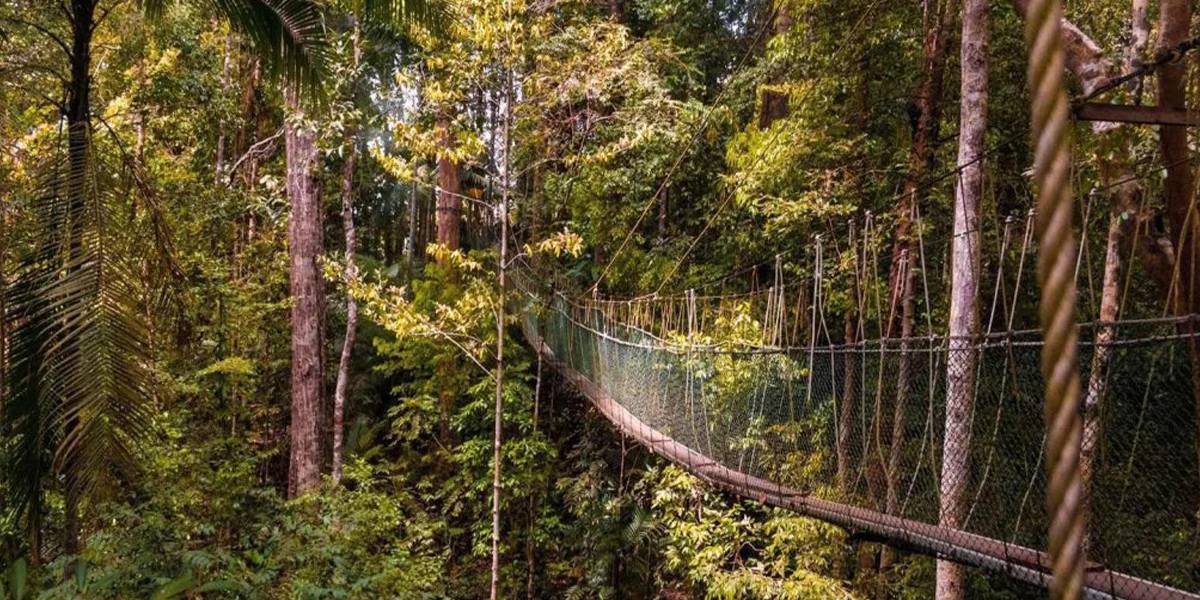 Taman Negara National Park