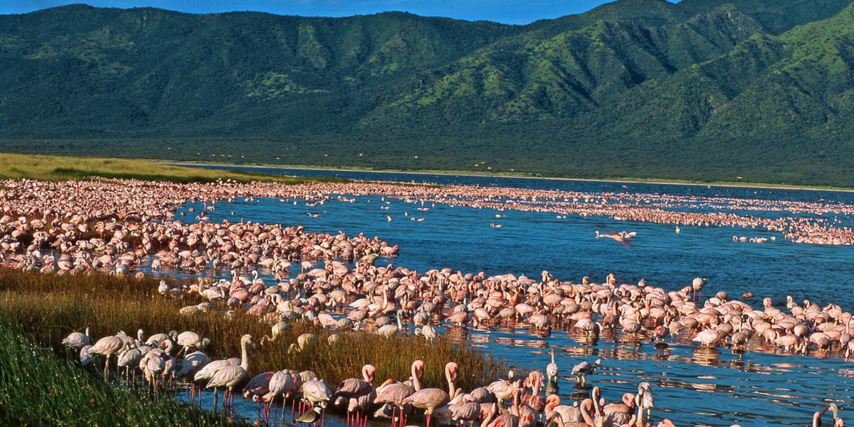 Great Rift Valley Lakes