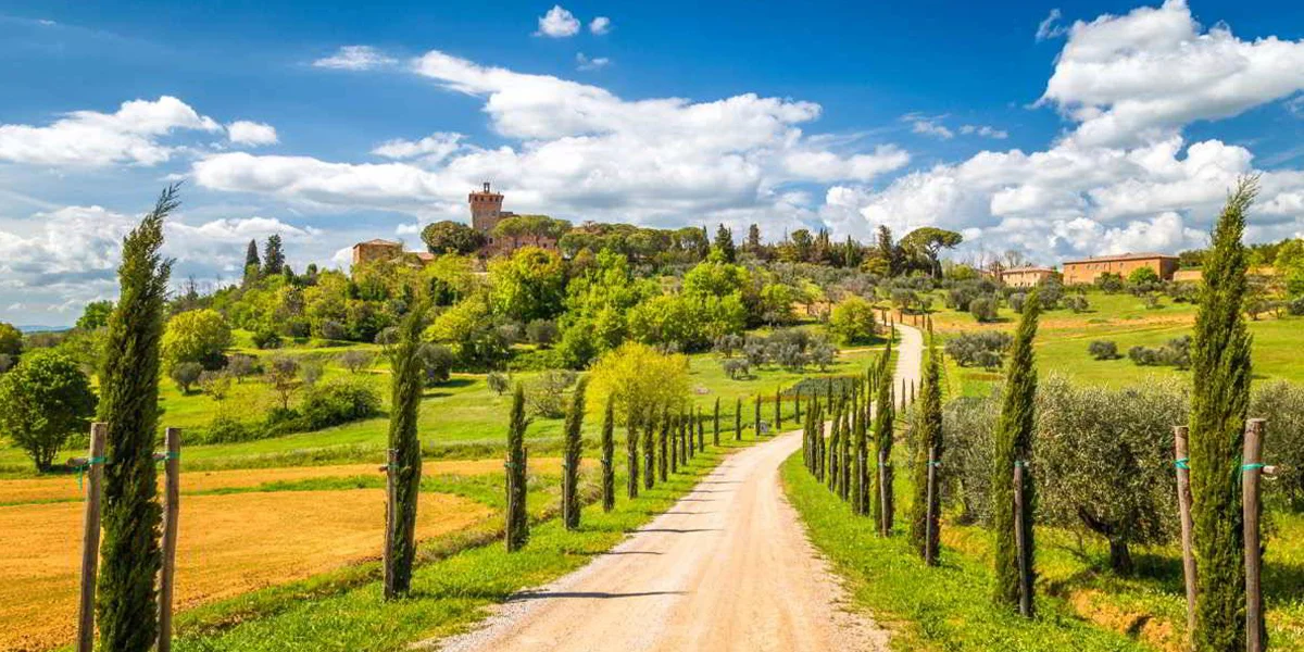 Tuscany’s Wine Country