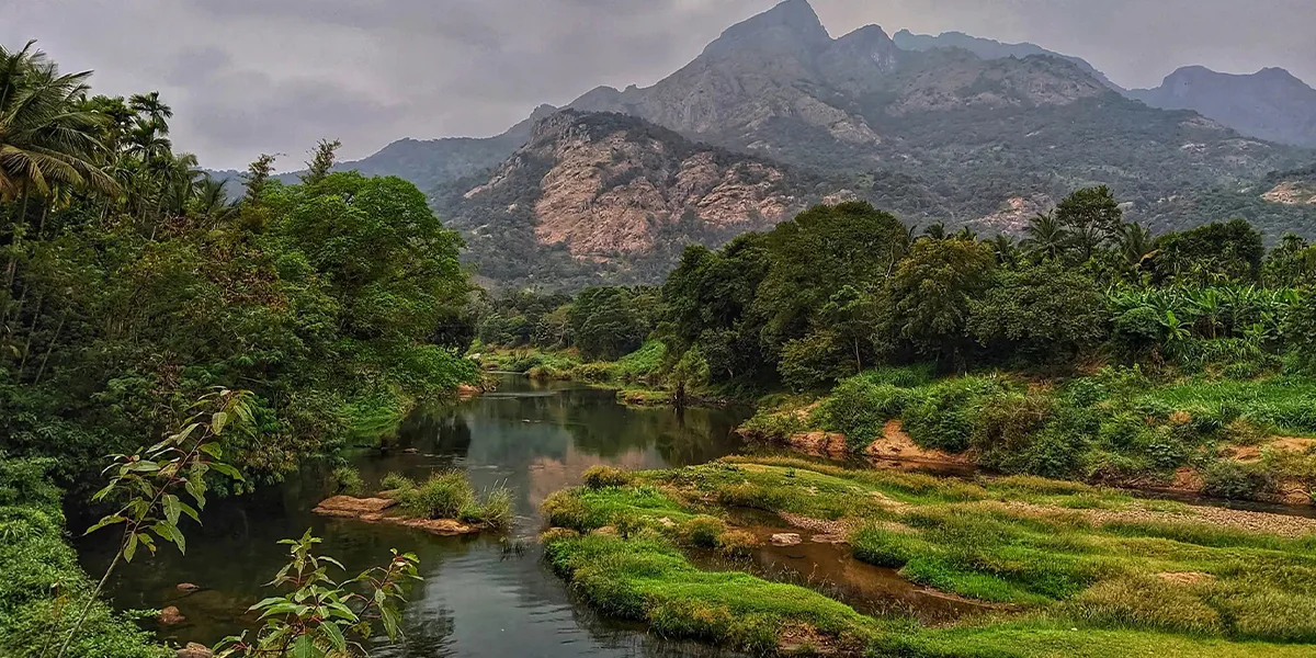 Silent Valley National Park- Pristine Wilderness.