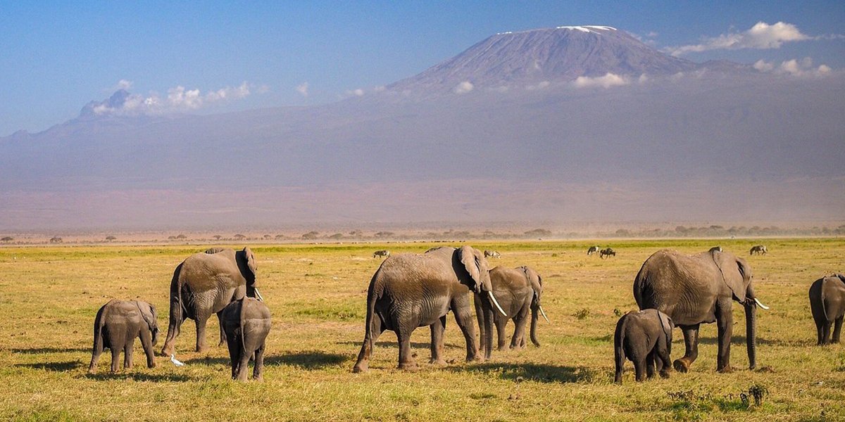 Places to Visit in Kenya 