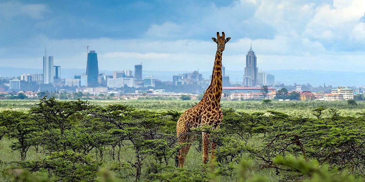 Places to Visit in Kenya 