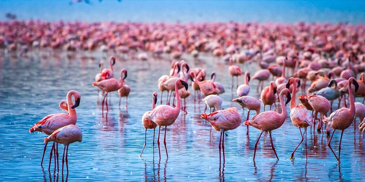 Places to Visit in Kenya 