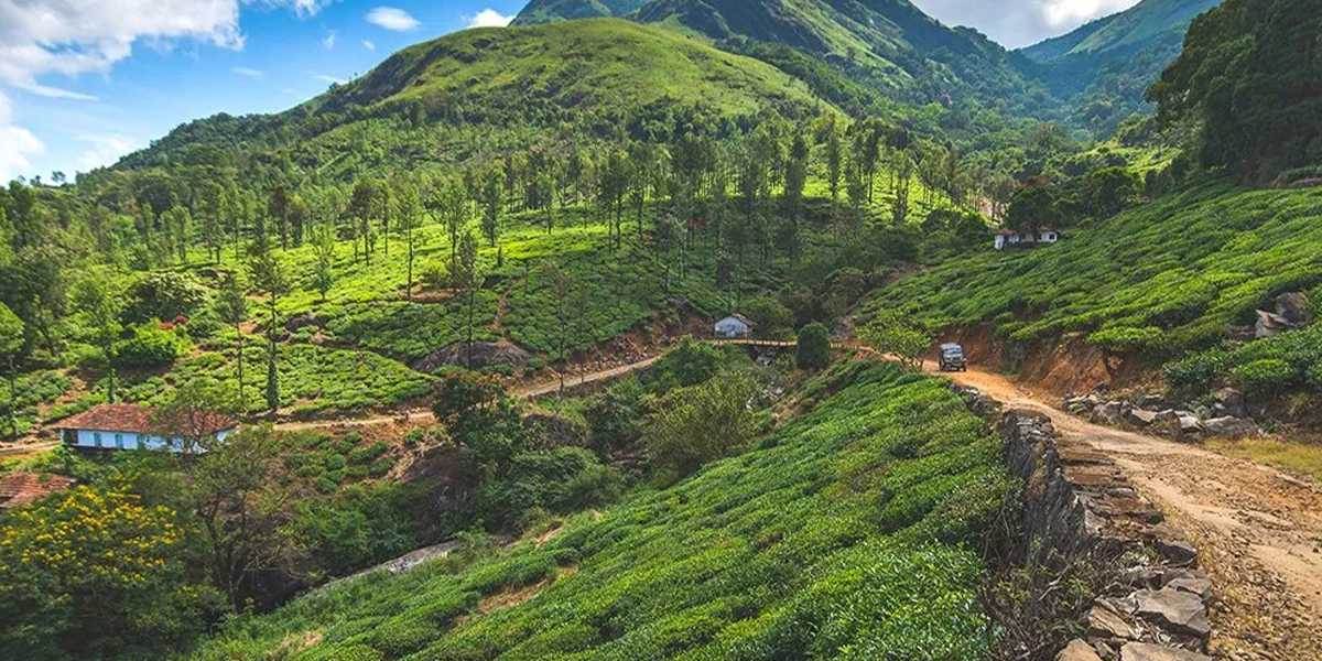 Places to Visit in Kerala