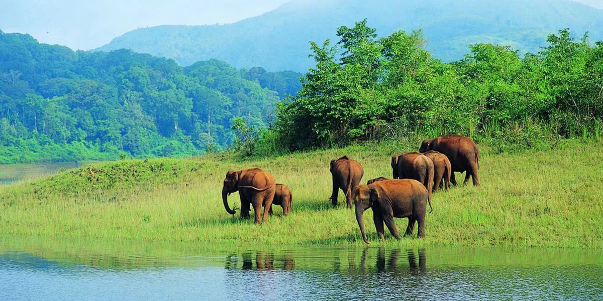 Places to Visit in Kerala