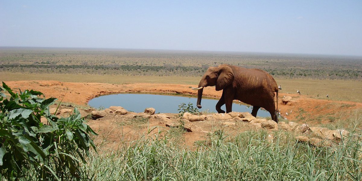 Places to Visit in Kenya 