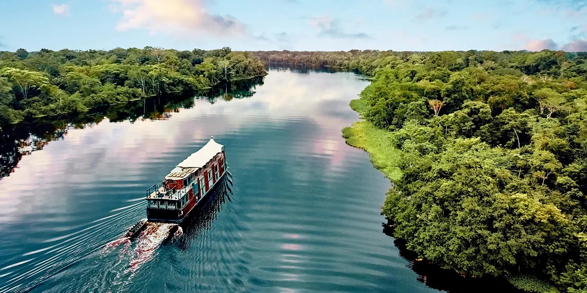 Amazon Rainforest- Wild Escape