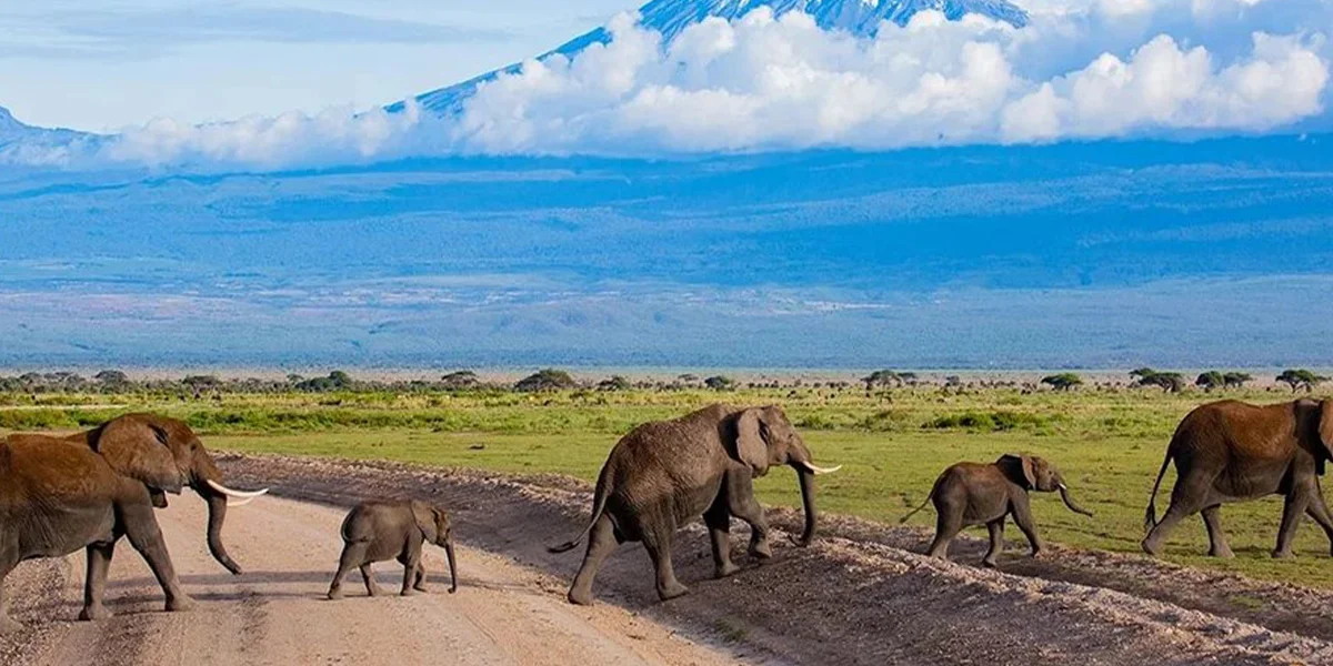National Parks in Kenya