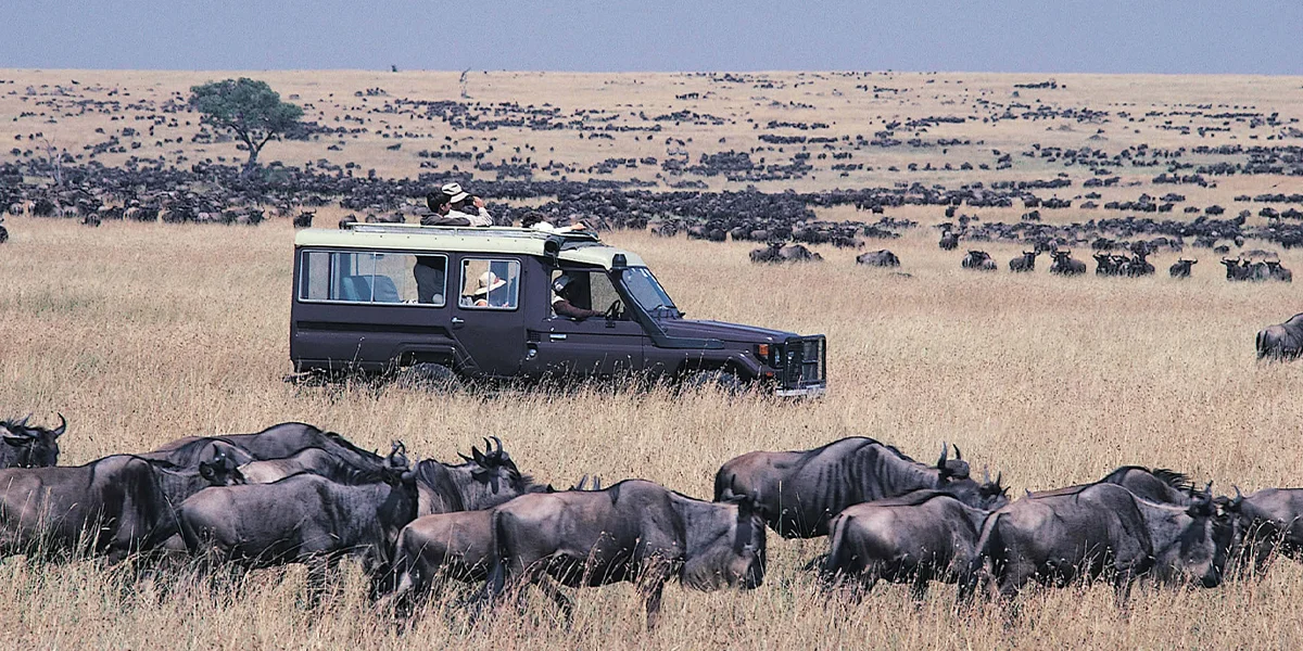 National Parks in Kenya