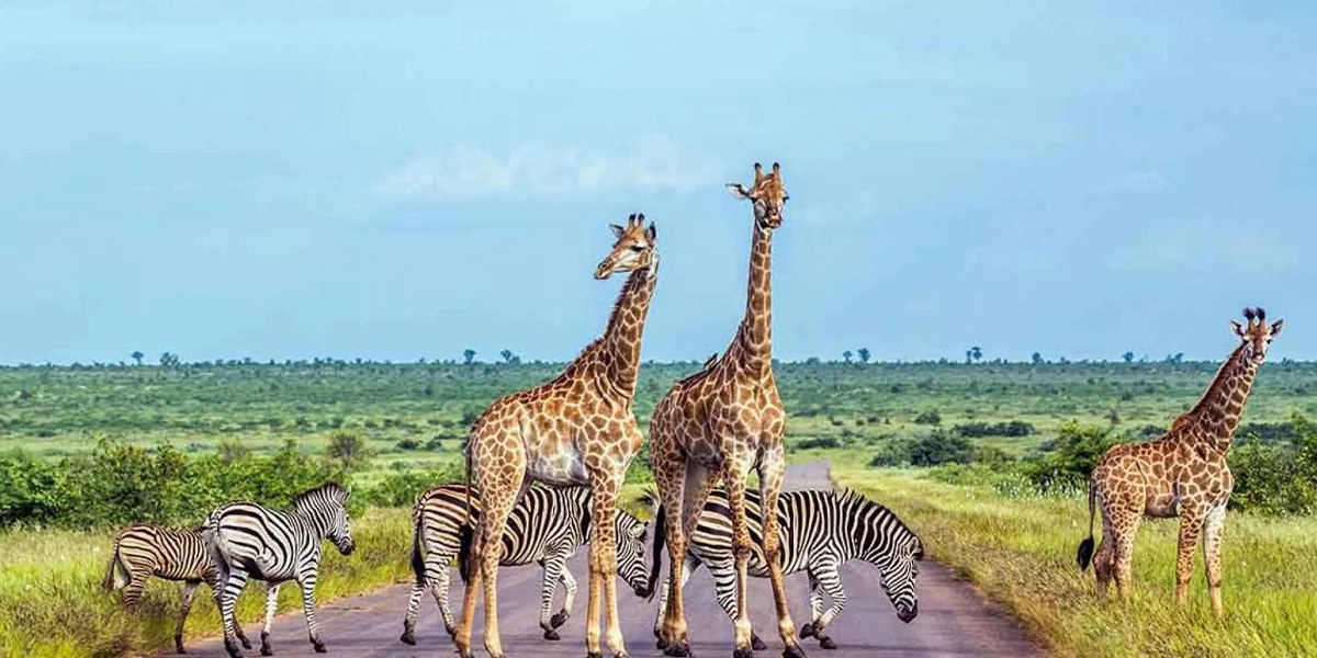 Natural wonders in South Africa