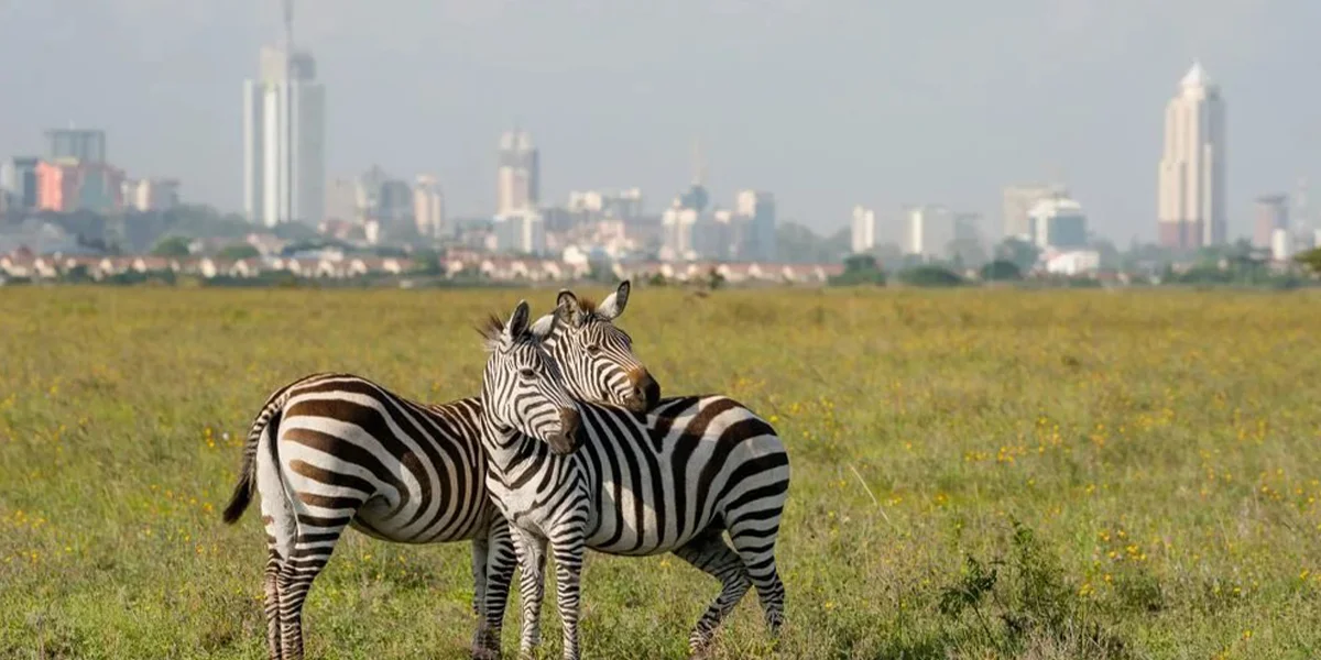 6. Nairobi National Park
