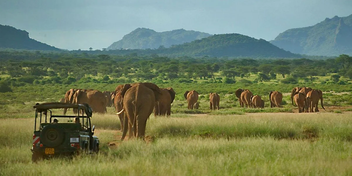 7. Samburu National Reserve
