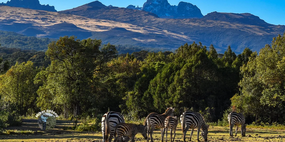 8. Mount Kenya National Park