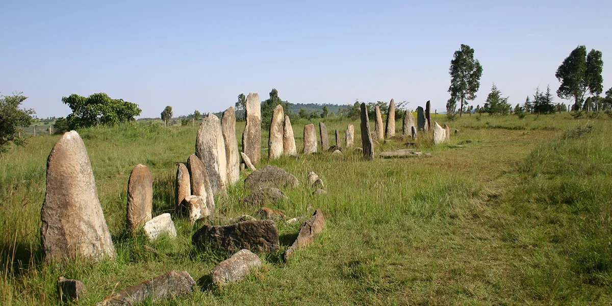 Tiya Stelae Field