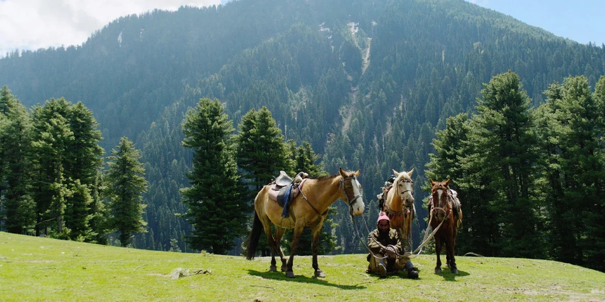 Horse Riding in Betaab Valley