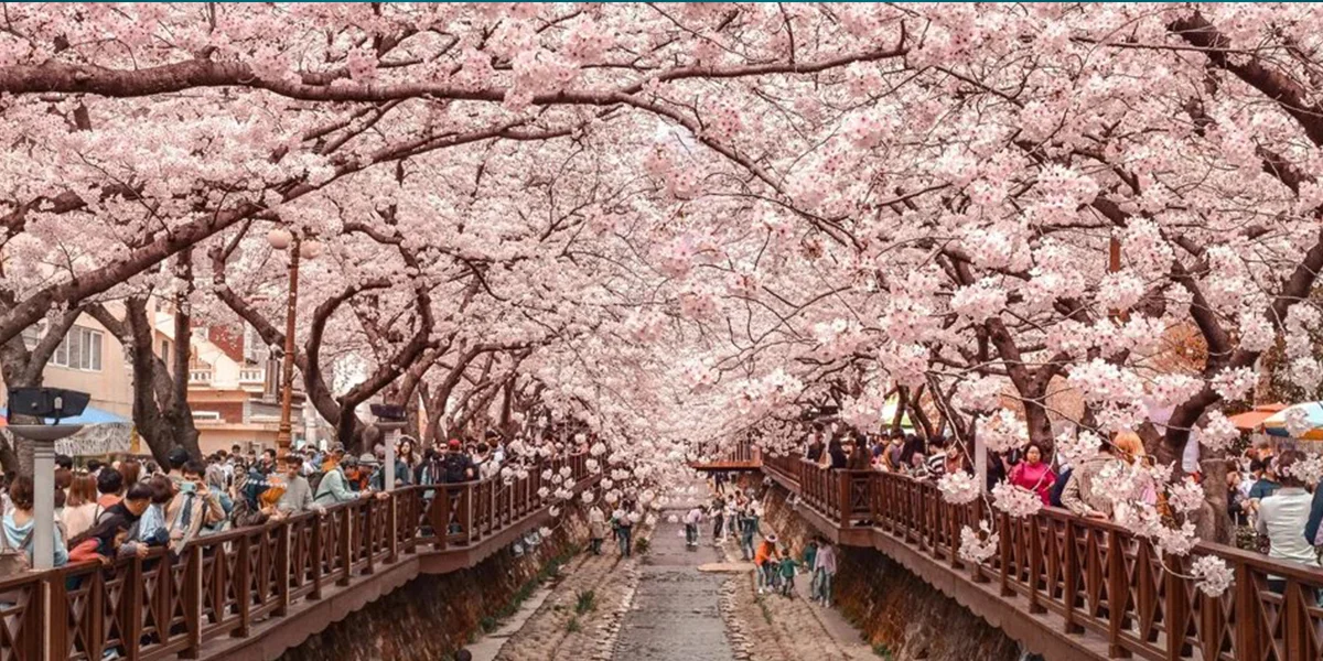 Best Time to Visit Japan