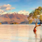 Best Time to Visit New Zealand