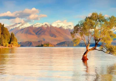 Best Time to Visit New Zealand