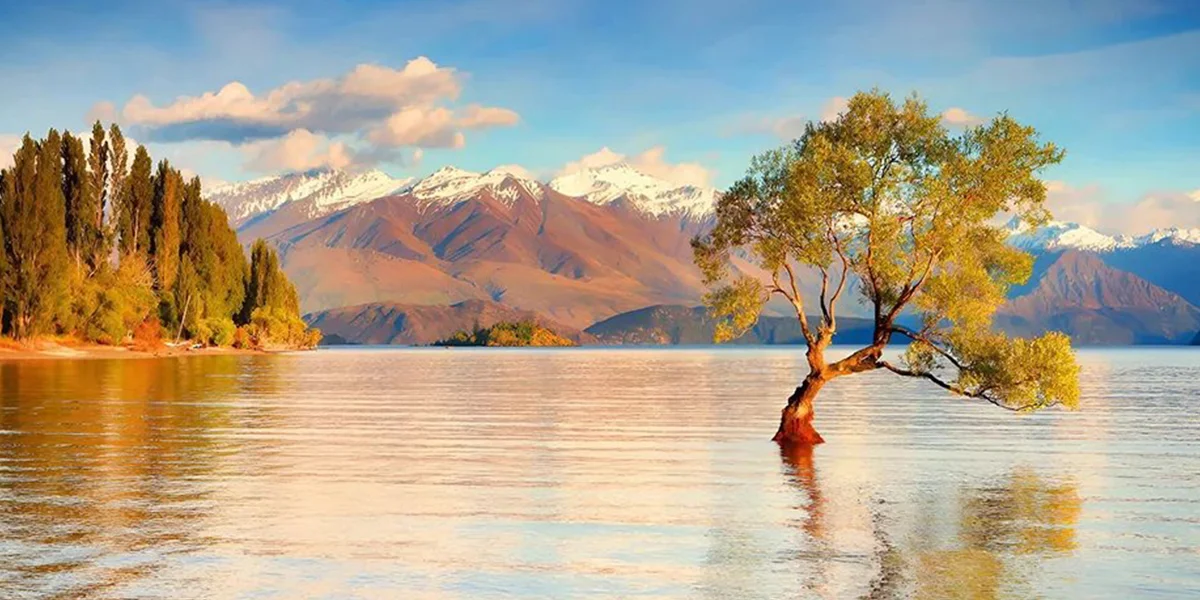 Best Time to Visit New Zealand