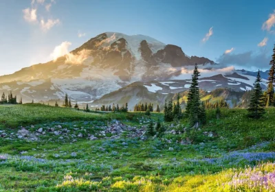 Best Time to Visit the USA