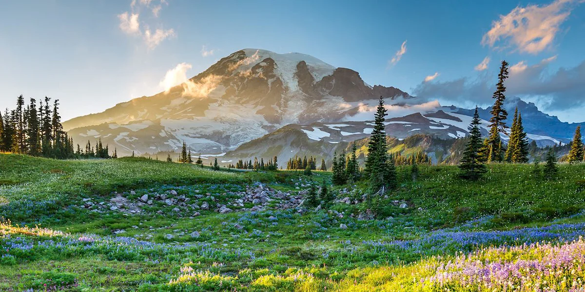 Best Time to Visit the USA