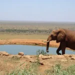 National Parks in Kenya