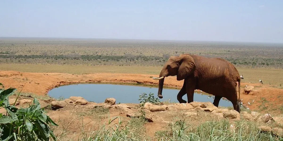 National Parks in Kenya