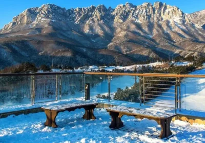 Things to do in Kashmir