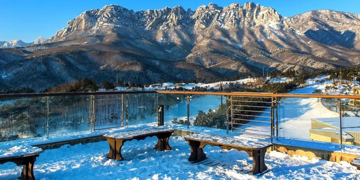 Things to do in Kashmir