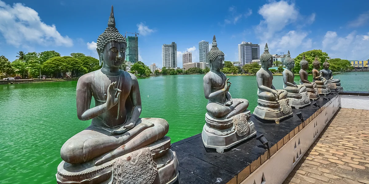 Things to Do in Sri Lanka