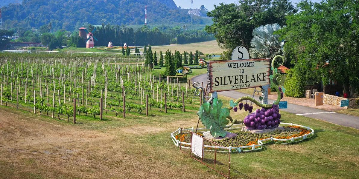 10. Silverlake Vineyard – A Romantic Retreat