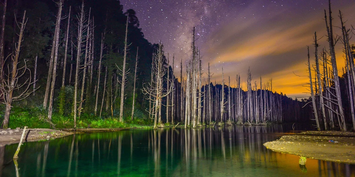  Alishan National Scenic Area – The Mountain Wonderland