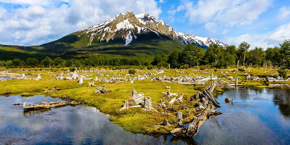Tierra del Fuego National Park, Ushuaia