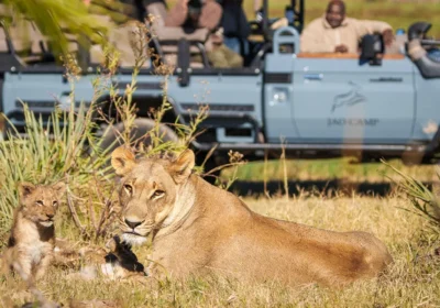 Best Time to Visit Botswana